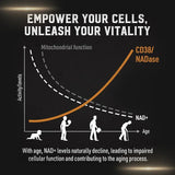 Liposomal NAD Supplement - Cellular Health Support & Stamina Boost