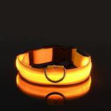 Nylon LED Dog Leash & Collar Set - Glow in the Dark, Safety Flashing Light