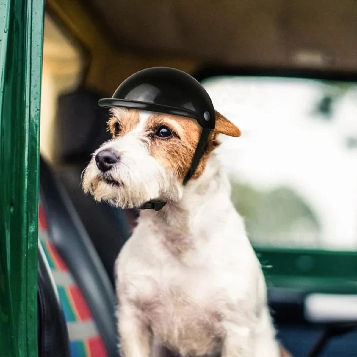 Pet Helmet Dog Cat Bicycle Motorcycle Safety Hat for Travel Protection