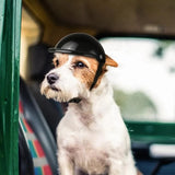 Pet Helmet Dog Cat Bicycle Motorcycle Safety Hat for Travel Protection