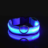 Nylon LED Dog Leash & Collar Set - Glow in the Dark, Safety Flashing Light