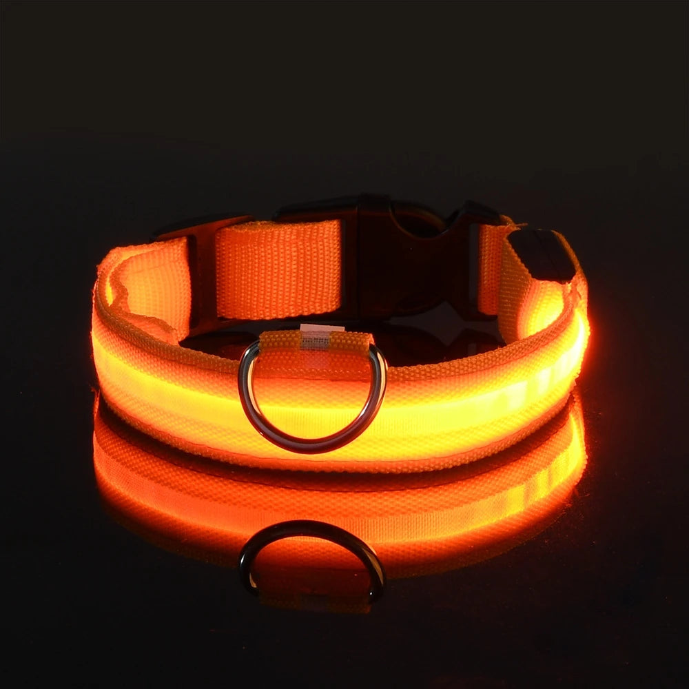 Nylon LED Dog Leash & Collar Set - Glow in the Dark, Safety Flashing Light