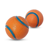 Tough Dog Toy Ball Chew Proof Elastic Fetch Ball for All Dog Sizes