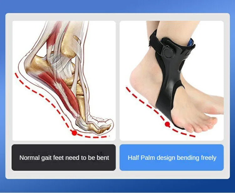 Drop Foot Brace AFO Ankle Support Adjustable Buckle for Stroke Recovery