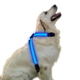 Color Changing LED Light Pet Collar with 8 Gears - Explosion-Proof Traction