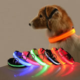 Nylon LED Dog Leash & Collar Set - Glow in the Dark, Safety Flashing Light