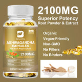 Ashwagandha Root Extract Capsules for Daily Routines, 60 Count