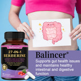 Berberine Capsules with Ceylon Cinnamon and Milk Thistle