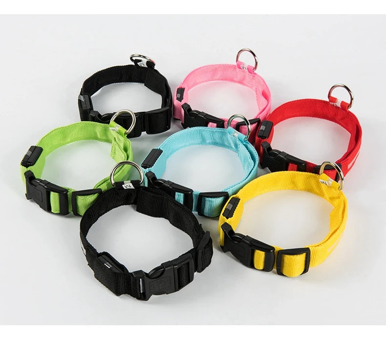 Nylon LED Dog Leash & Collar Set - Glow in the Dark, Safety Flashing Light