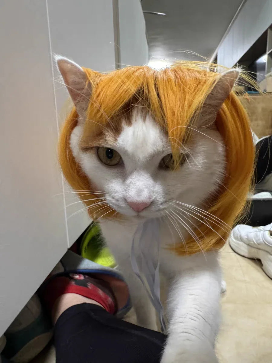 Pet Wig for Dogs & Cats - Curly & Straight Hair - DIY Halloween Accessory