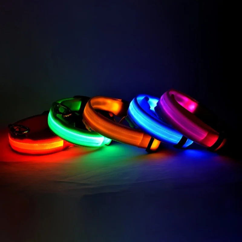Nylon LED Dog Leash & Collar Set - Glow in the Dark, Safety Flashing Light