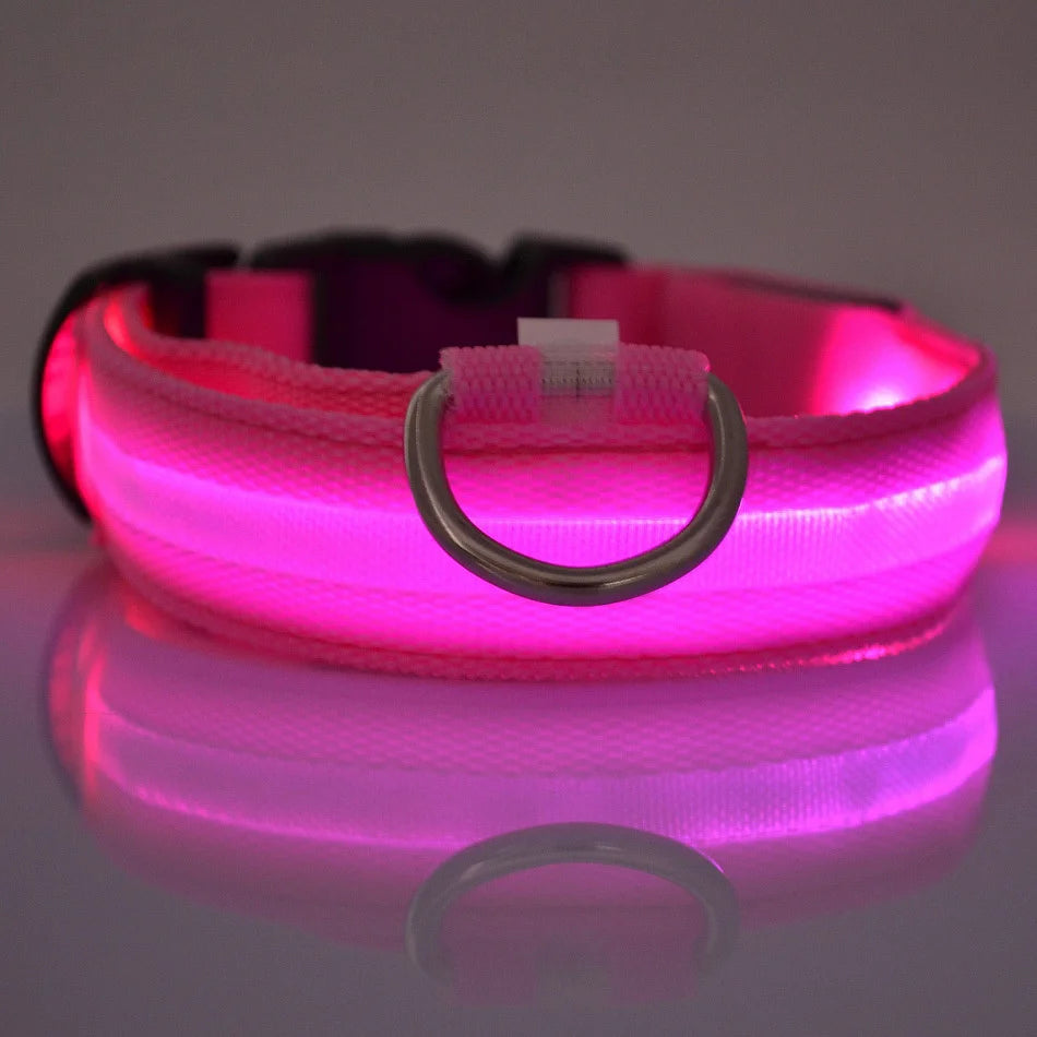 Nylon LED Dog Leash & Collar Set - Glow in the Dark, Safety Flashing Light