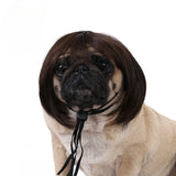 Pet Wig for Dogs & Cats - Curly & Straight Hair - DIY Halloween Accessory