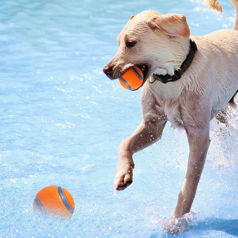 Tough Dog Toy Ball Chew Proof Elastic Fetch Ball for All Dog Sizes