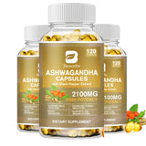 Ashwagandha Root Extract Capsules for Daily Routines, 60 Count