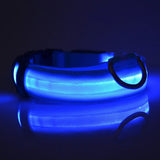 Nylon LED Dog Leash & Collar Set - Glow in the Dark, Safety Flashing Light