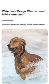 Pet GPS Tracker Collar for Cats & Dogs - Waterproof Real-Time Locator
