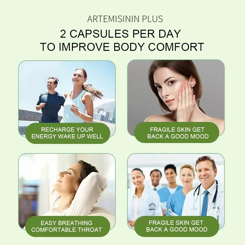 Artemisinin Capsules - Immune Support & Cell Repair - 60 Count