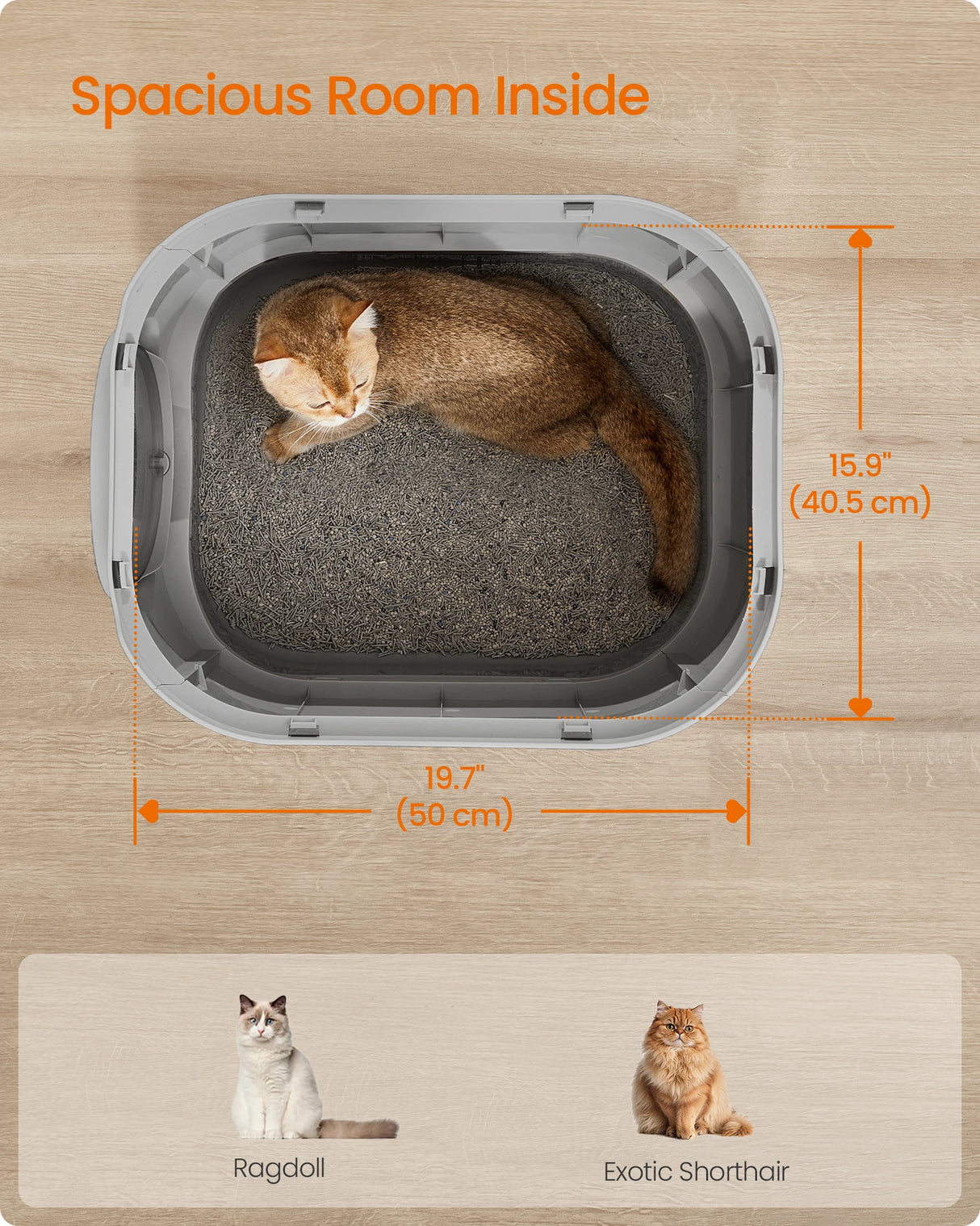 Enclosed Cat Litter Box with Lid and Slide-Out Tray - XL