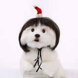 Pet Wig for Dogs & Cats - Curly & Straight Hair - DIY Halloween Accessory