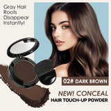 Quick Touch-Up Hair Stick Portable Temporary Coverage Hair Pen 2-Pack