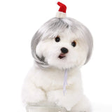 Pet Wig for Dogs & Cats - Curly & Straight Hair - DIY Halloween Accessory