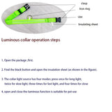 Nylon LED Dog Leash & Collar Set - Glow in the Dark, Safety Flashing Light