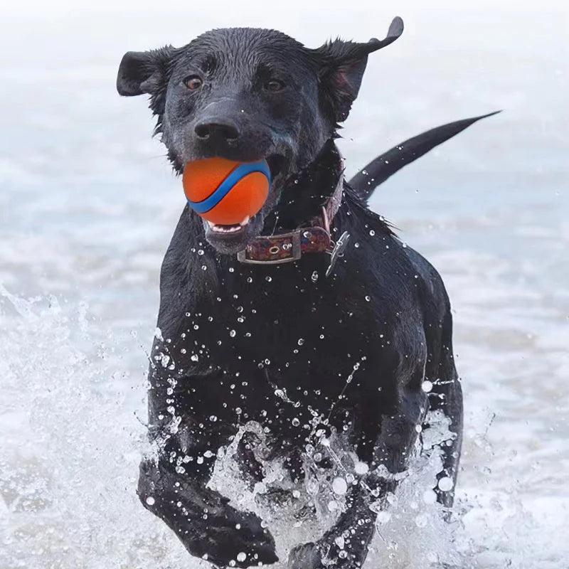 Tough Dog Toy Ball Chew Proof Elastic Fetch Ball for All Dog Sizes