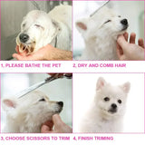 Pet Safe Scissors Set - 4pcs Stainless Steel Dog Grooming Shears