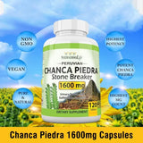 Chanca Piedra Capsules 1600mg - Non-GMO Dietary Supplement, 60 Count
