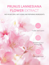Sakura Skin Care Set - Facial Cleanser, Cream, Serum, Toner - Moisturizing Kit