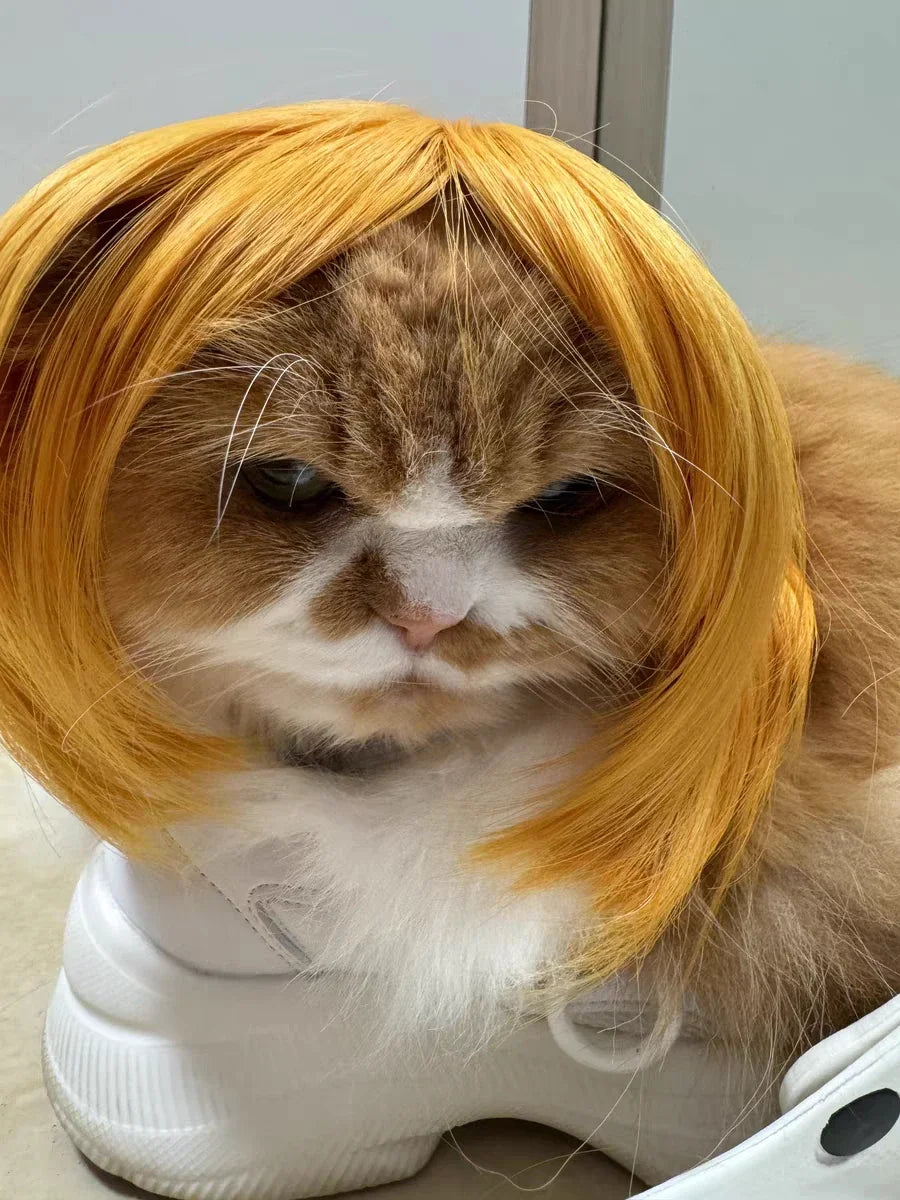 Pet Wig for Dogs & Cats - Curly & Straight Hair - DIY Halloween Accessory