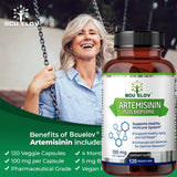 Artemisinin Capsules - Immune Support & Cell Repair - 60 Count
