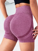 Seamless High-Waist Yoga Shorts for Women - Quick-Drying Sports Wear