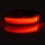 Nylon LED Dog Leash & Collar Set - Glow in the Dark, Safety Flashing Light