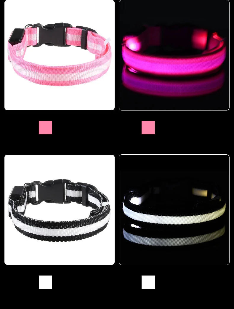 Nylon LED Dog Leash & Collar Set - Glow in the Dark, Safety Flashing Light