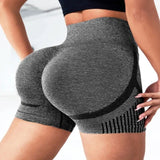 Seamless High-Waist Yoga Shorts for Women - Quick-Drying Sports Wear