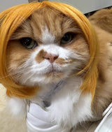 Pet Wig for Dogs & Cats - Curly & Straight Hair - DIY Halloween Accessory