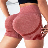 Seamless High-Waist Yoga Shorts for Women - Quick-Drying Sports Wear