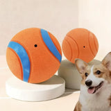 Tough Dog Toy Ball Chew Proof Elastic Fetch Ball for All Dog Sizes