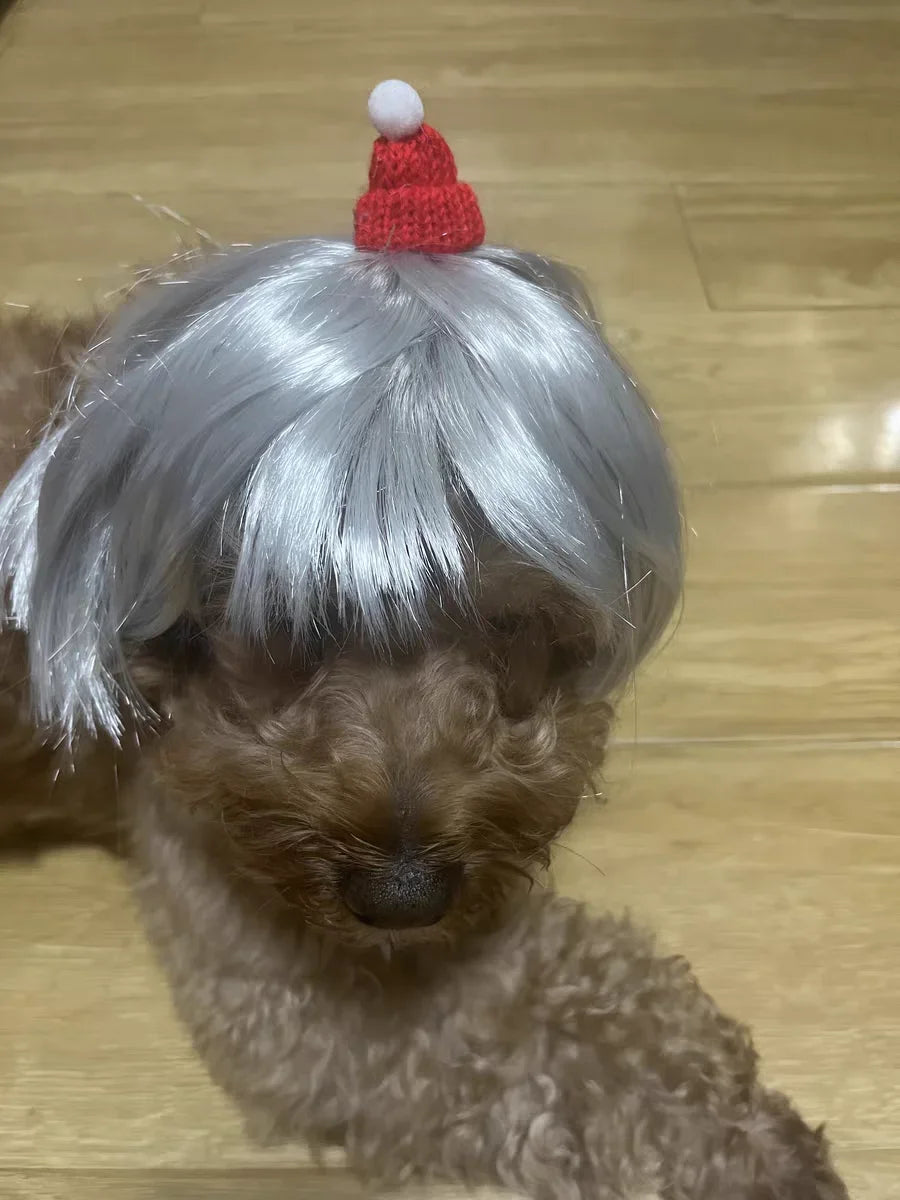 Pet Wig for Dogs & Cats - Curly & Straight Hair - DIY Halloween Accessory