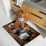 Creative Kitten Element Pattern Area Rug - Indoor Doormat for Home Decor