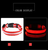 Nylon LED Dog Leash & Collar Set - Glow in the Dark, Safety Flashing Light
