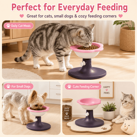 545711431