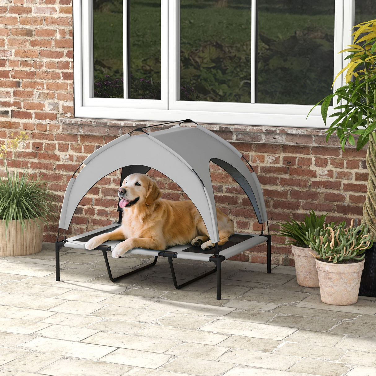 525924341