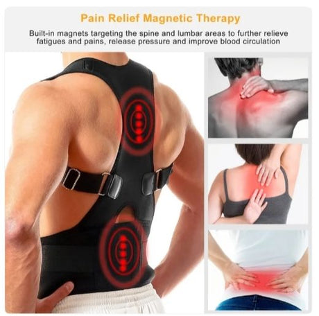 550349311
