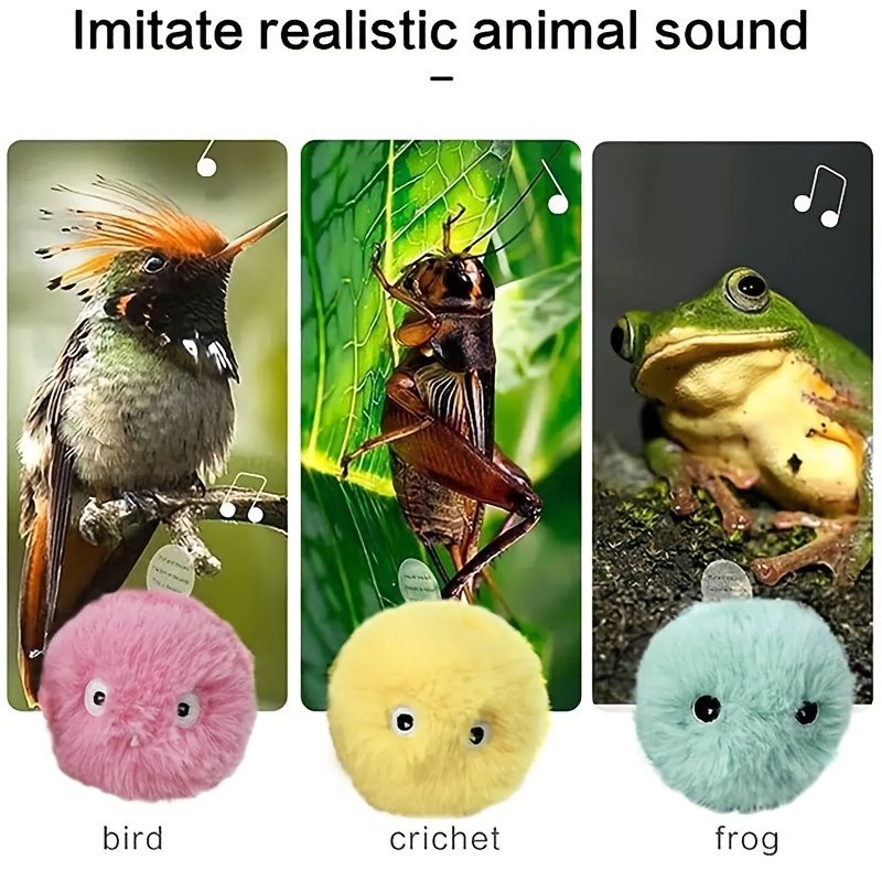 565576031